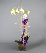 Country Arts Orchid