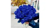 12 Royal Blue Premium Long Stem Roses