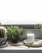 Fern & Moss Jar Candle
