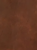 Cognac Leather — Sunday Shop