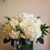 Simply Hydrangea