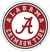 ALA Circle A Magnet