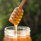Be Home Olive Wood Honey Dipper