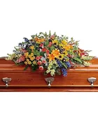 Colorful Reflections Casket Spray — Black Eyed Susan's Flowers & Plants