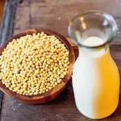 5lb Non-GMO Soybeans For Sale - Laura® Soybeans