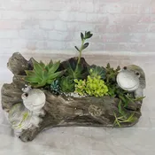 Turtles on a Log Succulent Planter