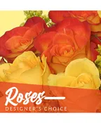 BEAUTIFUL ROSES
