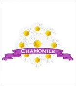 Chamomile Seed. Organic Annual Chamomile. Pkt.