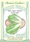 Baby Napa Cabbage - Little Jade