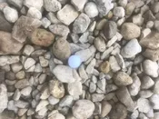River Rock #1