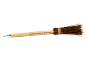 Alivans Broom Pen