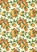 Vintage Oranges - A3 Rice Decoupage Paper