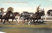 Lexington Kentucky Trotting Track Horse Harness Racing Vintage Postcard AA116365