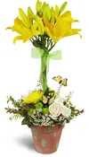 Happiness in Bloom™ Topiary