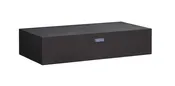 Entertainment Speaker Insert