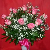 Dozen Carrousell Roses NEW-R06