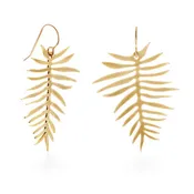 Areca Palm Drops