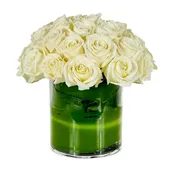 White rose dome