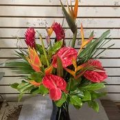 Exotic Arrangement #8