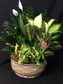LARGE EURO CERAMIC DISH GARDEN
