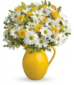 Teleflora's Sunny Day Pitcher of Daisies
