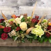 Autumn Grace