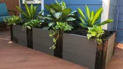 2’ x 6’ Raised Garden Bed Planters - GardenBLOX Classic