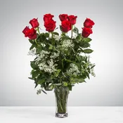 One Dozen Long Stem Premium Red Roses with Babies Breath
