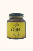 Calling on Angels Crystal Infused Candle