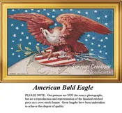 American Bald Eagle, FR-02 (Digital Download Only)