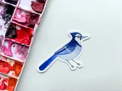 Blue Jay Bird Vinyl Sticker – Songbird Nature Art