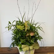 Medium Ceramic Dish Garden