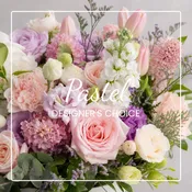Designer's Choice - Pastel