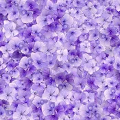 Garden Delight by Timeless Treasures VIOLA FLORAL/LILAC