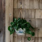 9-1/2 Inch Hanging Planter
