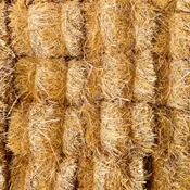 1/2 BALE OF STRAW