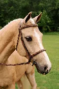 ADT Imperial Bridle - Traditional Crown