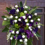 Purple & White Luxury