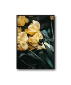 Tulip Frame