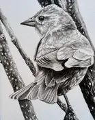 'Bird on Willows' 22x12"
