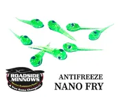 Nano Fry