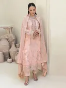 Blush Pink Chiffon Finely Embroidered Luxe Wear