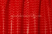 3D Holographic Vinyl (red)
