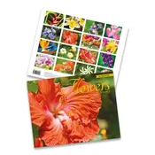 2027 Trade Calendar, Flowers of Hawai‘i