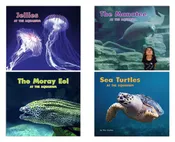 At the Aquarium Set 2