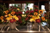 FALL SENTIMENTS