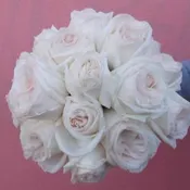 A lovely bouquet of all white garden roses