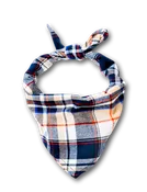 Acorn Harvest Flannel Dog Bandana