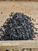 Bourbon Vanilla — White Pine and Petals  Flowers, Weddings, Plants and Gifts Roscommon Higgins Lake