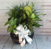 12" CERAMIC WITH BOW